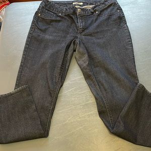 Women’s Blue Jeans D. Jeans Sz 14W